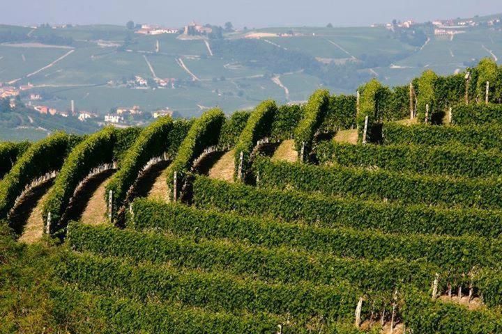 Agriturismo Cascina Rabalot Diano dʼAlba Eksteriør bilde