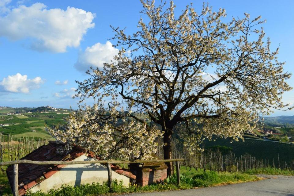 Agriturismo Cascina Rabalot Diano dʼAlba Eksteriør bilde