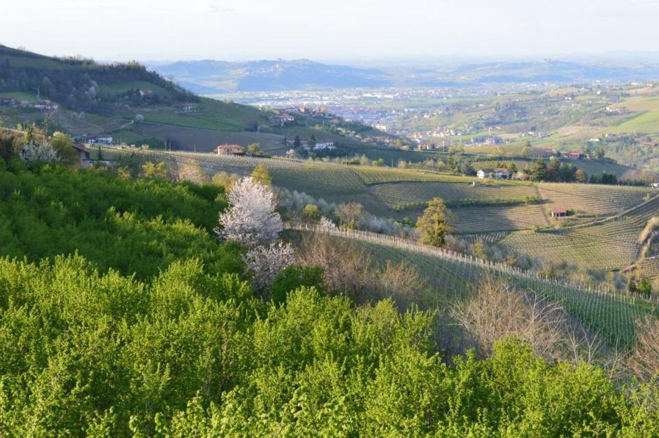 Agriturismo Cascina Rabalot Diano dʼAlba Eksteriør bilde